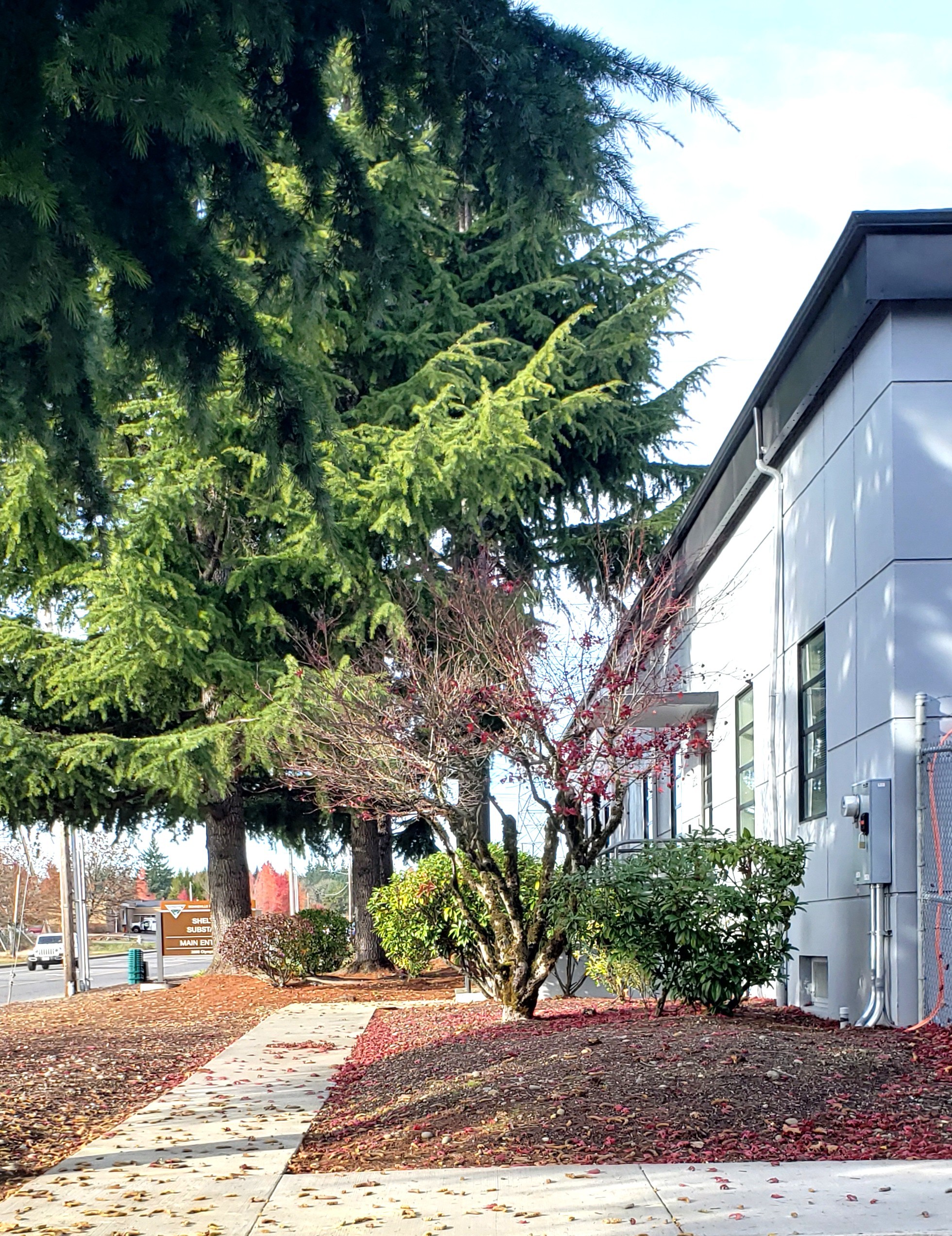 Front of substation building and landscaping